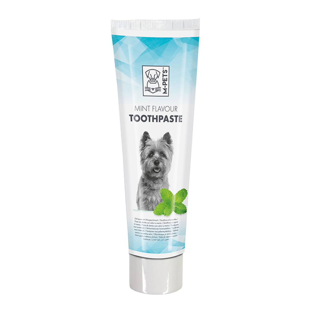 M-PETS Mint flavor Toothpaste 100gm
