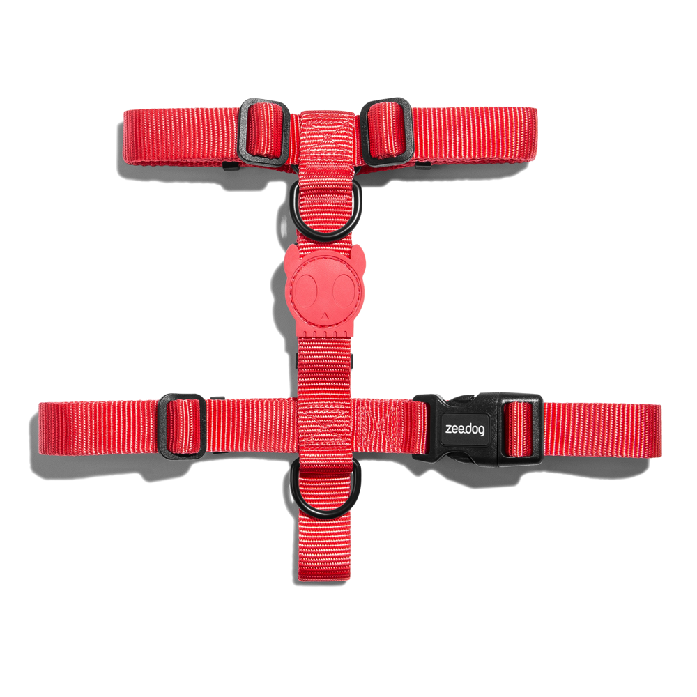 Zee.Dog Neon Coral H-Harness Medium