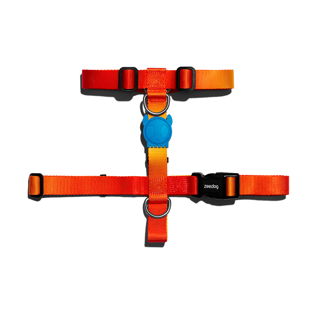 Zee.Dog Solaris H-Harness Large