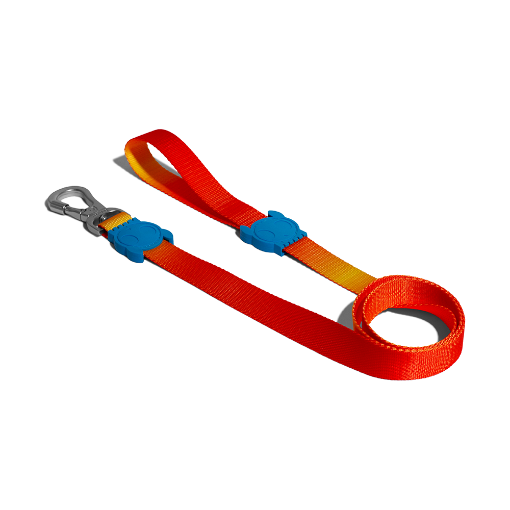 Zee.Dog Solaris Leash XS