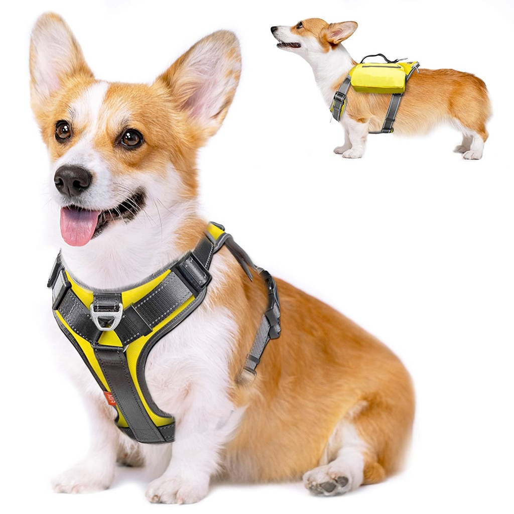 Fida Dog Harness Yellow Medium