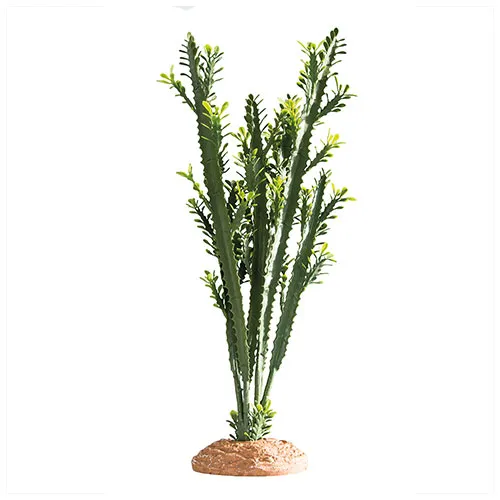 Hobby Euphorbia 25x10x49cm