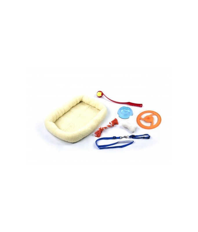 Paw Pals Dog Gift Box Dog Starter Kit