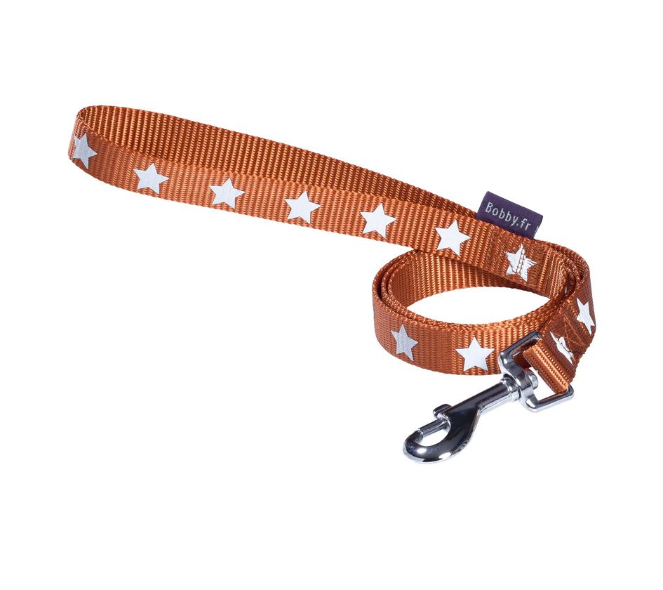 Bobby Midnight Lead Orange Large