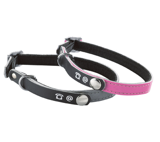 Bobby Porte Adresse Fancy Cat Collar Pink