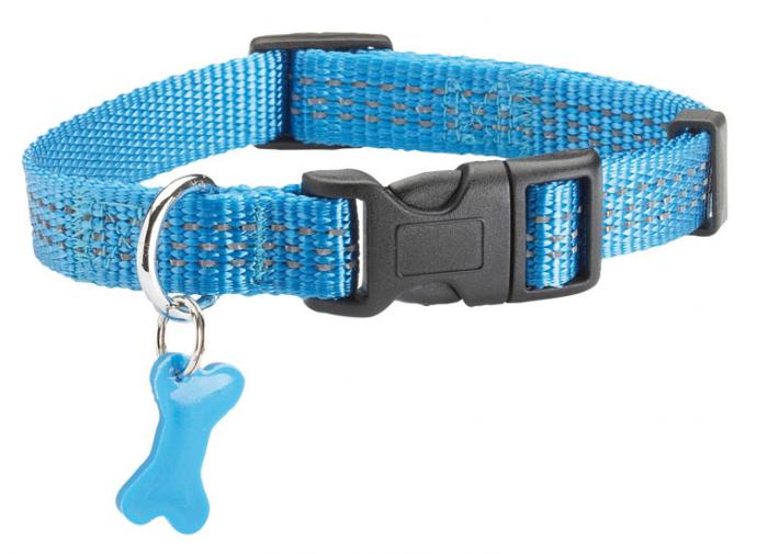 Bobby Safe Collar Blue Large