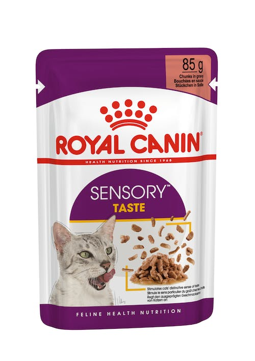 Royal Canin Feline Health Nutrition Sensory Taste Gravy Wet Pouches 12x85gm