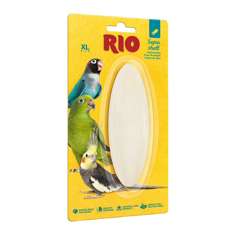 [4260559180059] RIO Sepia Shell Cuttlefish Bone XL