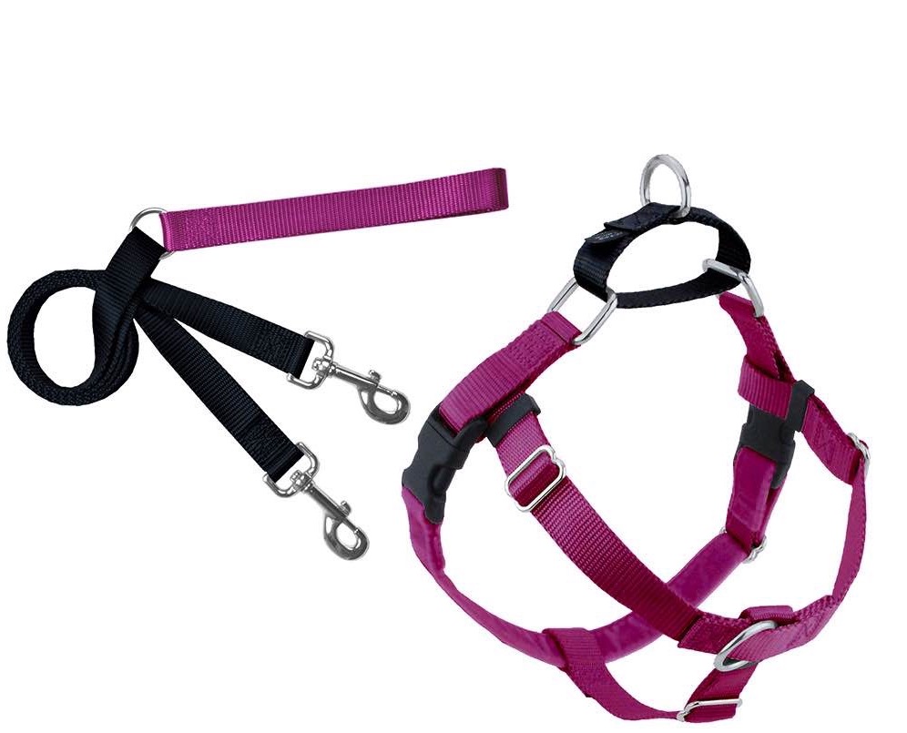 2 Hounds Design Freedom No Pull Dog Harness and Leash Raspberry Color XS 5/8" Nylon Swiss Velvet & SS