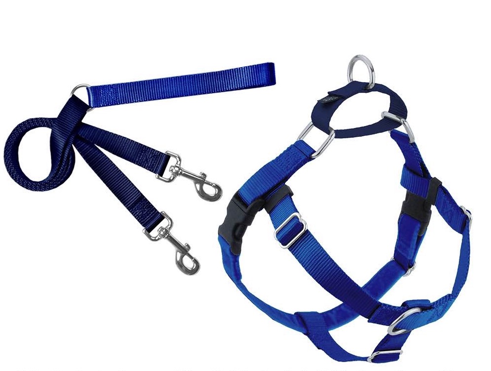 2 Hounds Design Freedom No Pull Dog Harness and Leash Royal Blue Small 5/8" Nylon, Swiss Velvet & SS