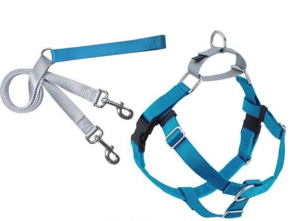 2 Hounds Design Freedom No Pull Dog Harness and Leash Turquoise Medium 1inch Nylon, Swiss Velvet & SS