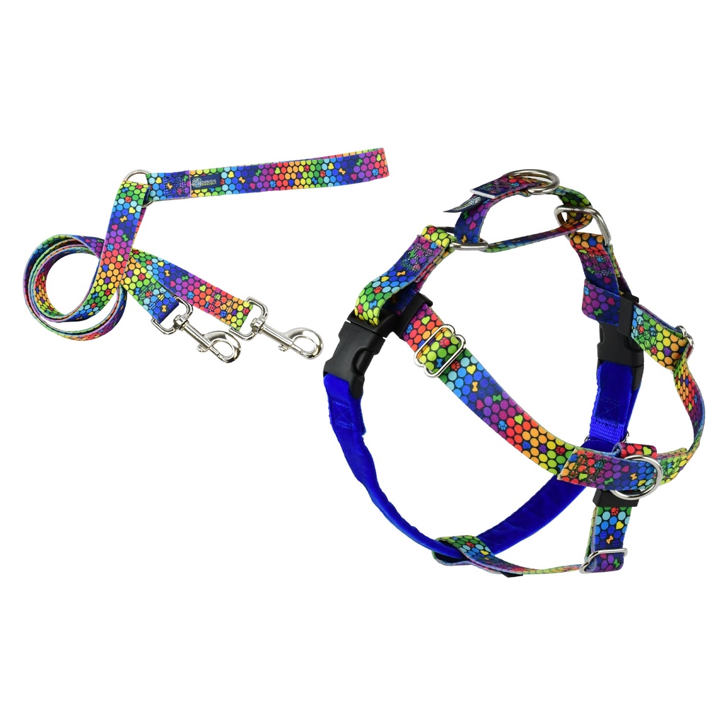 2 Hounds Design Rainbow Freedom No Pull Dog Harness and Leash XL Nylon, Swiss Velvet & SS
