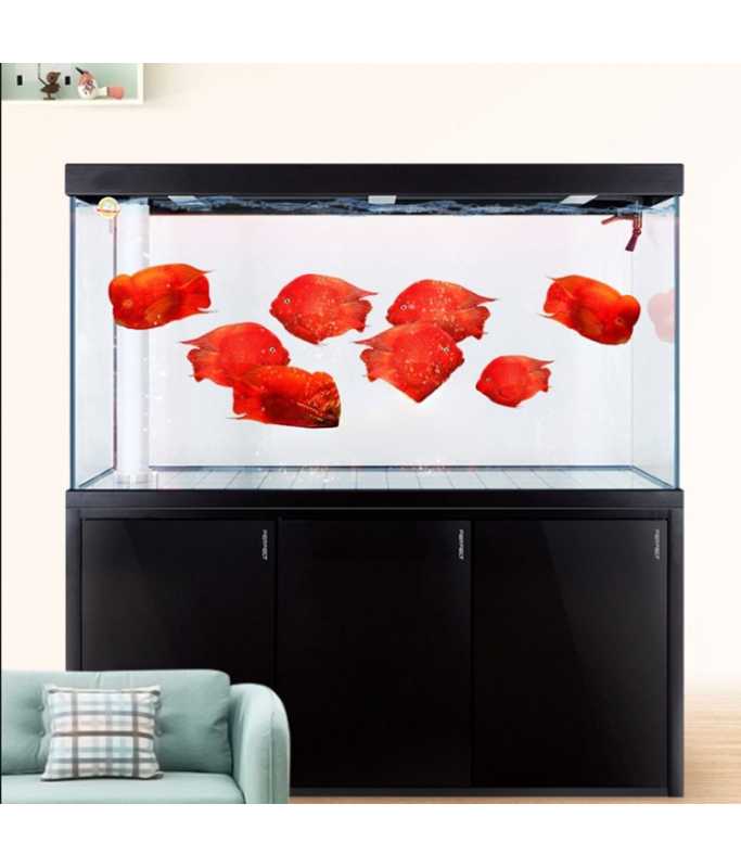 Karis Aquarium LYP-Series Black 120x36x160cm
