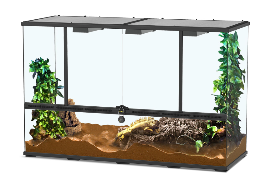 Terratlantis Glass Terrarium 118 x 45 x 45 cm
