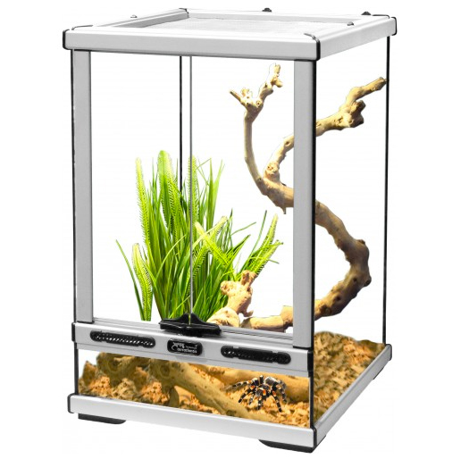 Terratlantis Glass Terrarium 30 x 30 x 45 cm