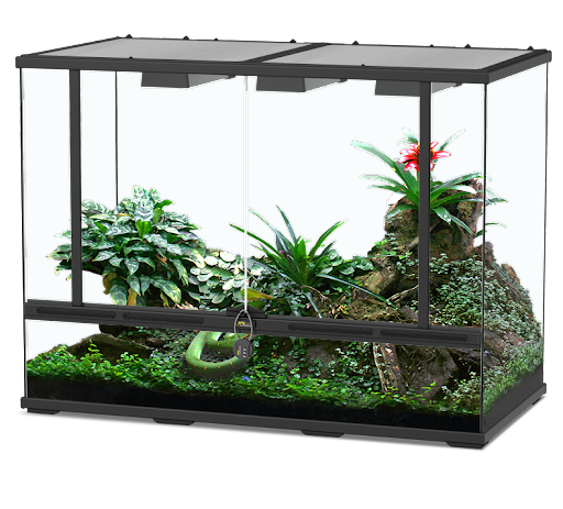 Terratlantis Glass Terrarium 88 x 45 x 75 cm