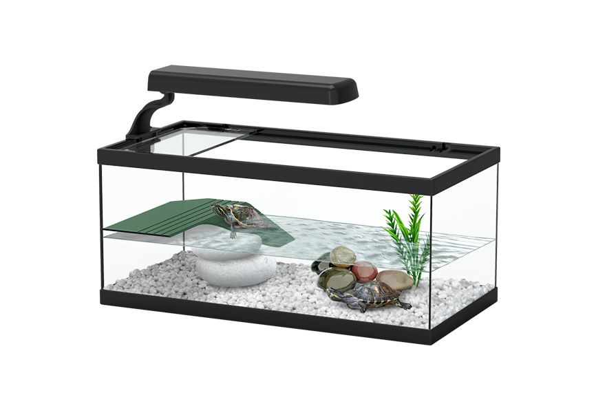Terratlantis Tortum Turtle Tank 40
