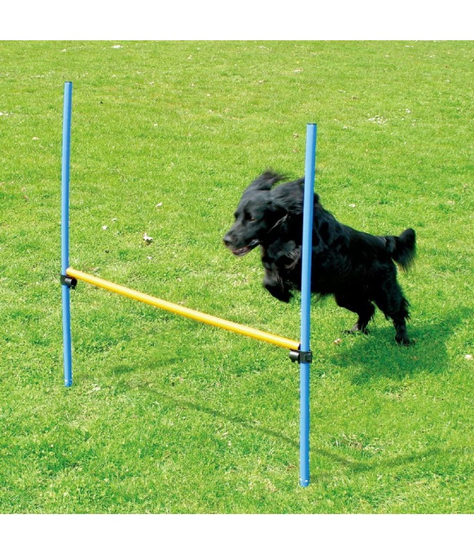 Paw Pals Agility Dog Training Hurdle 117x6x6Cm