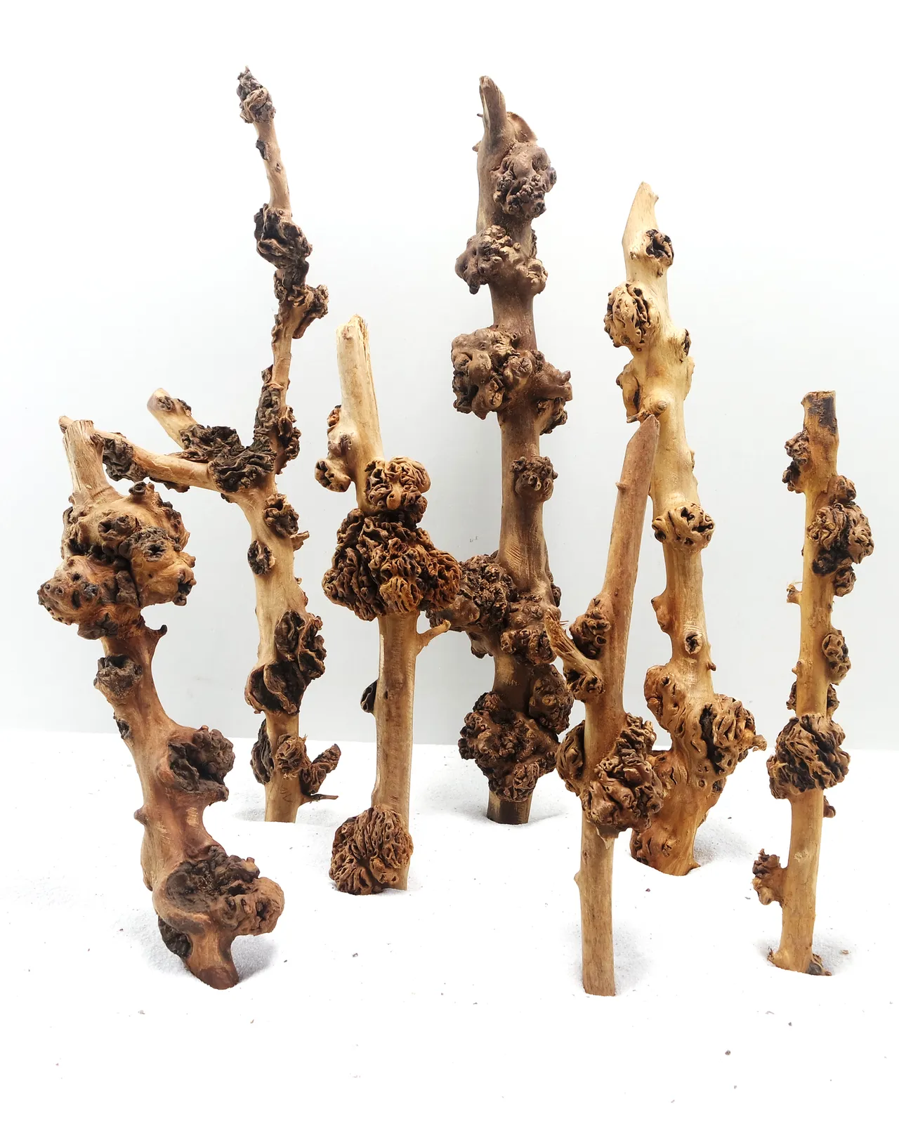 [MJDR08-27S] SV Aquarium Deco Sava Wood - Small - 20-30cm - Box