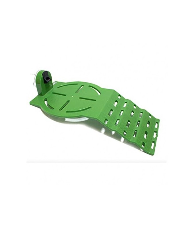 KW Zone Dophin Turtle Ladder