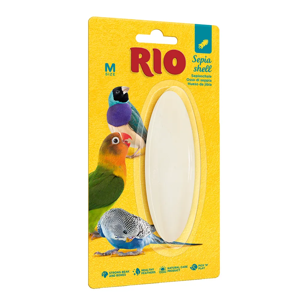 [4260559180035] RIO Sepia Shell Medium Cuttle Bone
