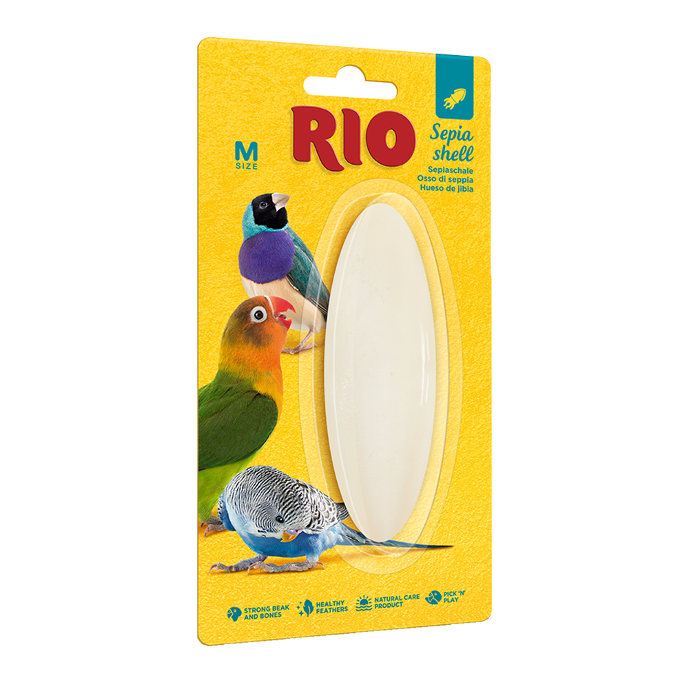 Rio Sepia Shell Medium Cuttle Bone