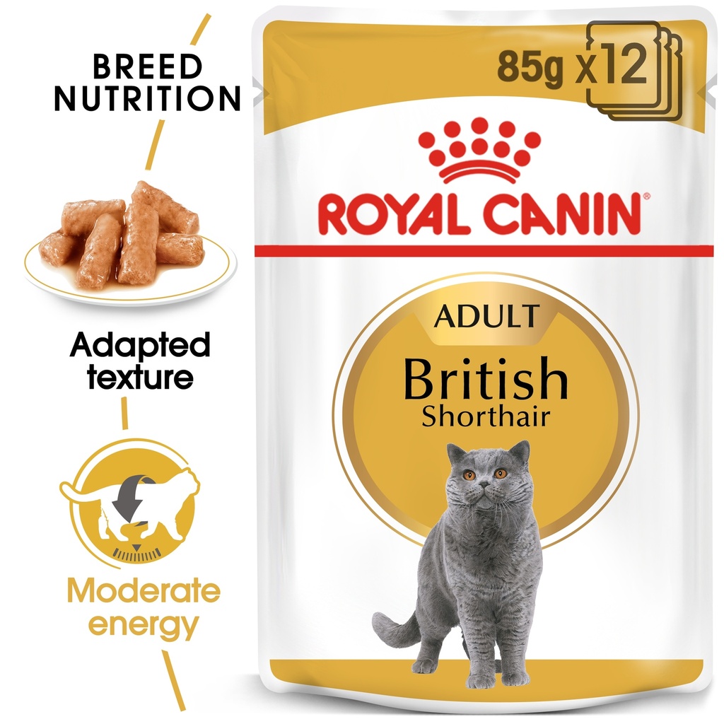 Royal Canin FBN Feline Breed Nutrition British Shorthair Wet Cat Food 12x85gm