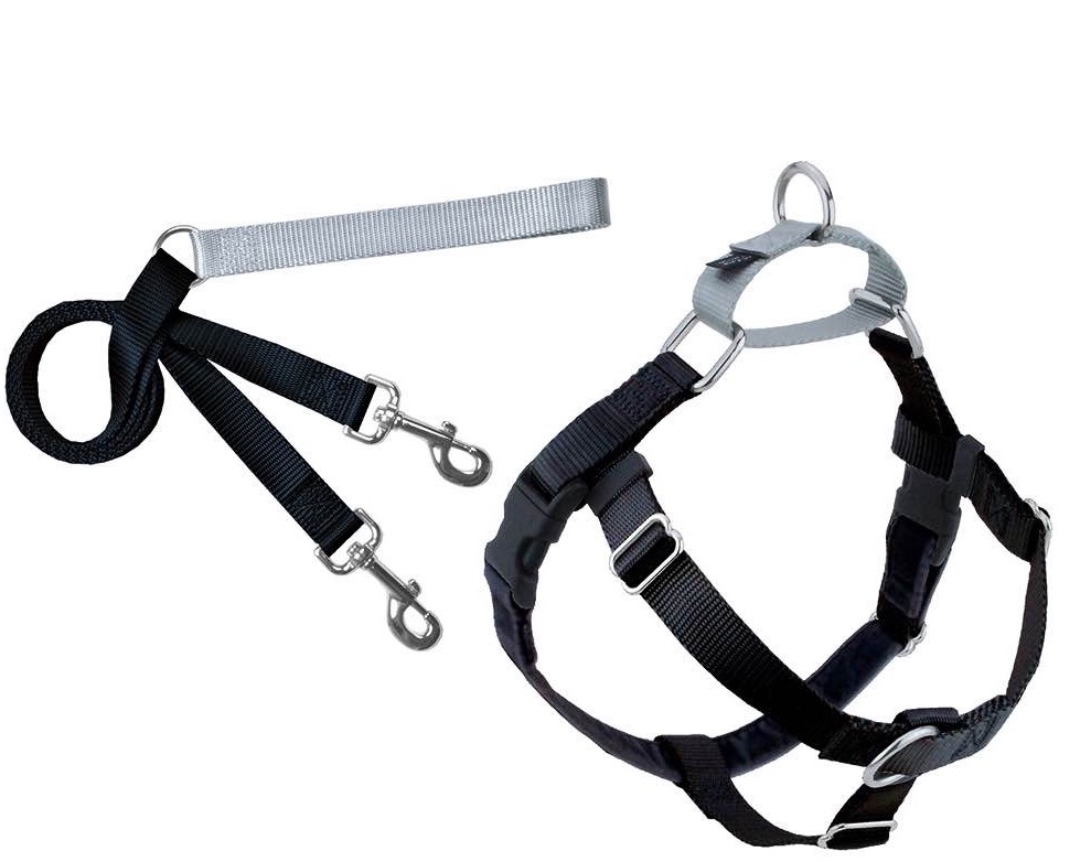 2 Hounds Design Freedom No Pull Dog Harness and Leash Black Medium 1" Nylon Swiss Velvet & SS