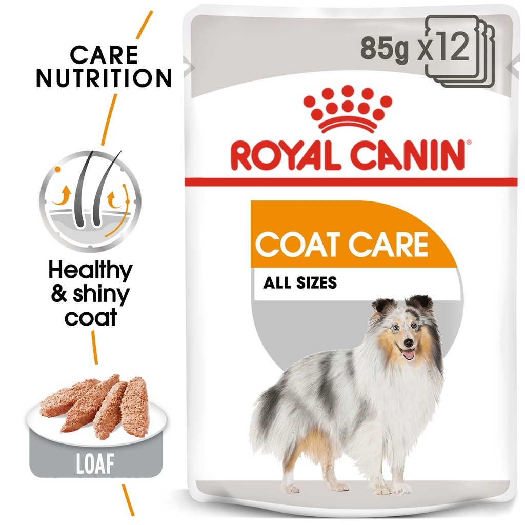 Royal Canin CCN Canine Care Nutrition Coat Beauty Wet Dog Food Pouches 12x85gm