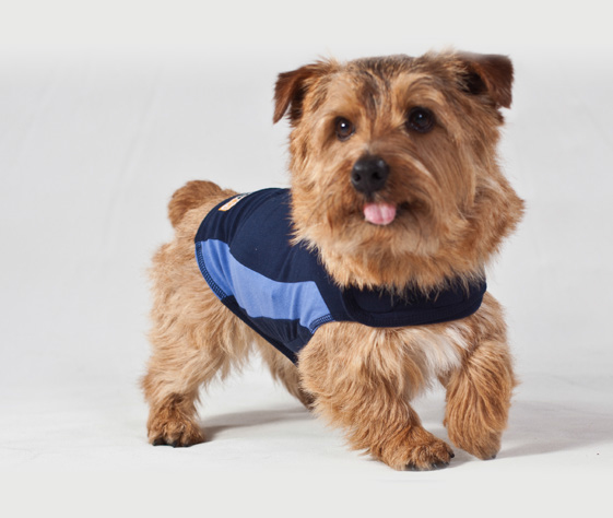 Thundershirt Dog Blue XXS