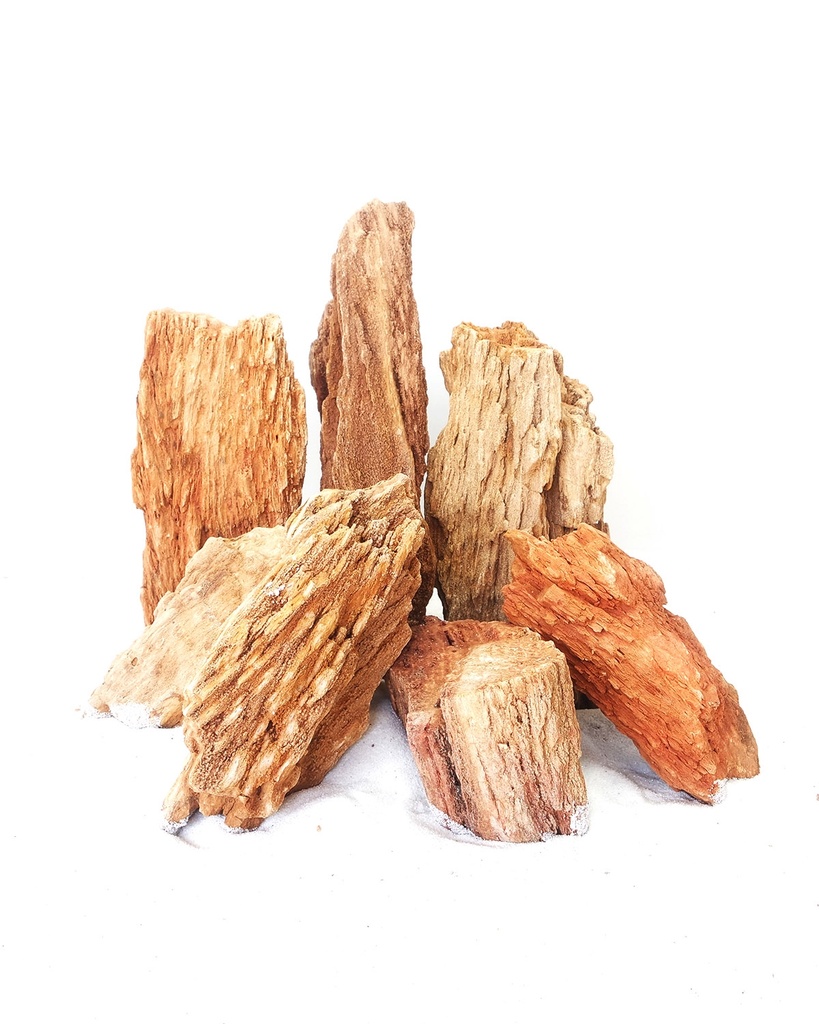 Sv Aquarium Deco Red Wood Fossil - Small - 12-18cm - Box