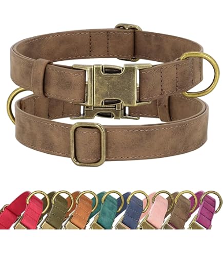 Bobby Collar Stripe Black Large