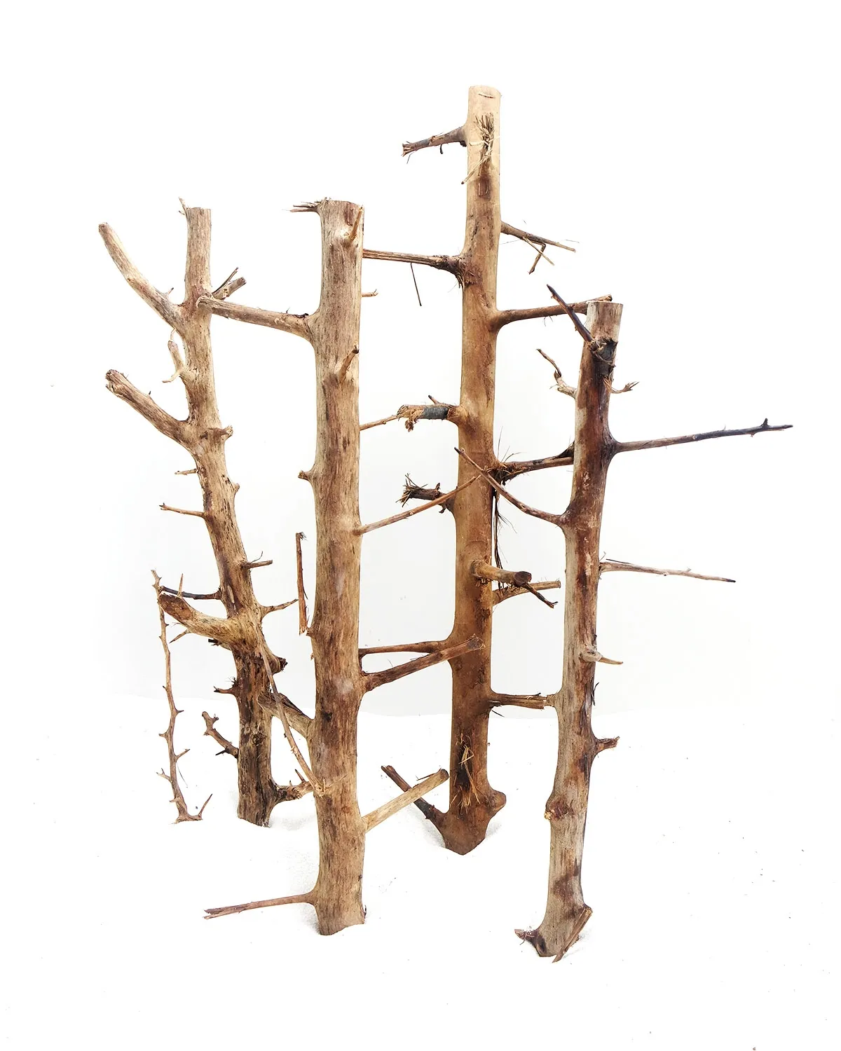 [MJDR08-28M] SV Aquarium Deco Long Hands Wood - Medium - 30-45cm - Box