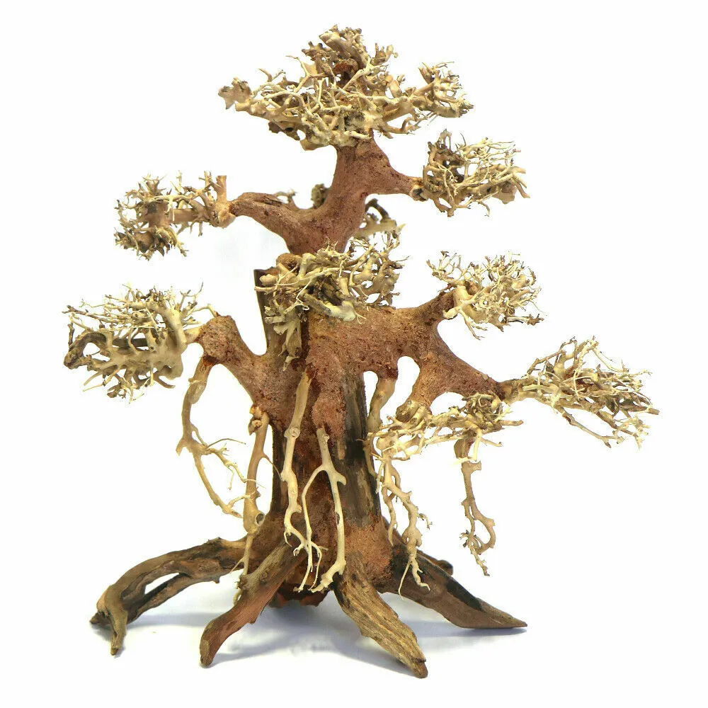 [MJDR08-17GM] SV Aquarium Deco Banyan Bonsai Wood Medium 30x30x15cm Box