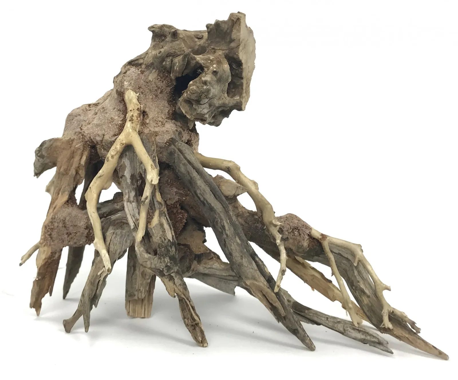 [MJDR08-17AXXM] SV Aquarium Deco Octopus Wood - Large - 35X30X17cm - Box