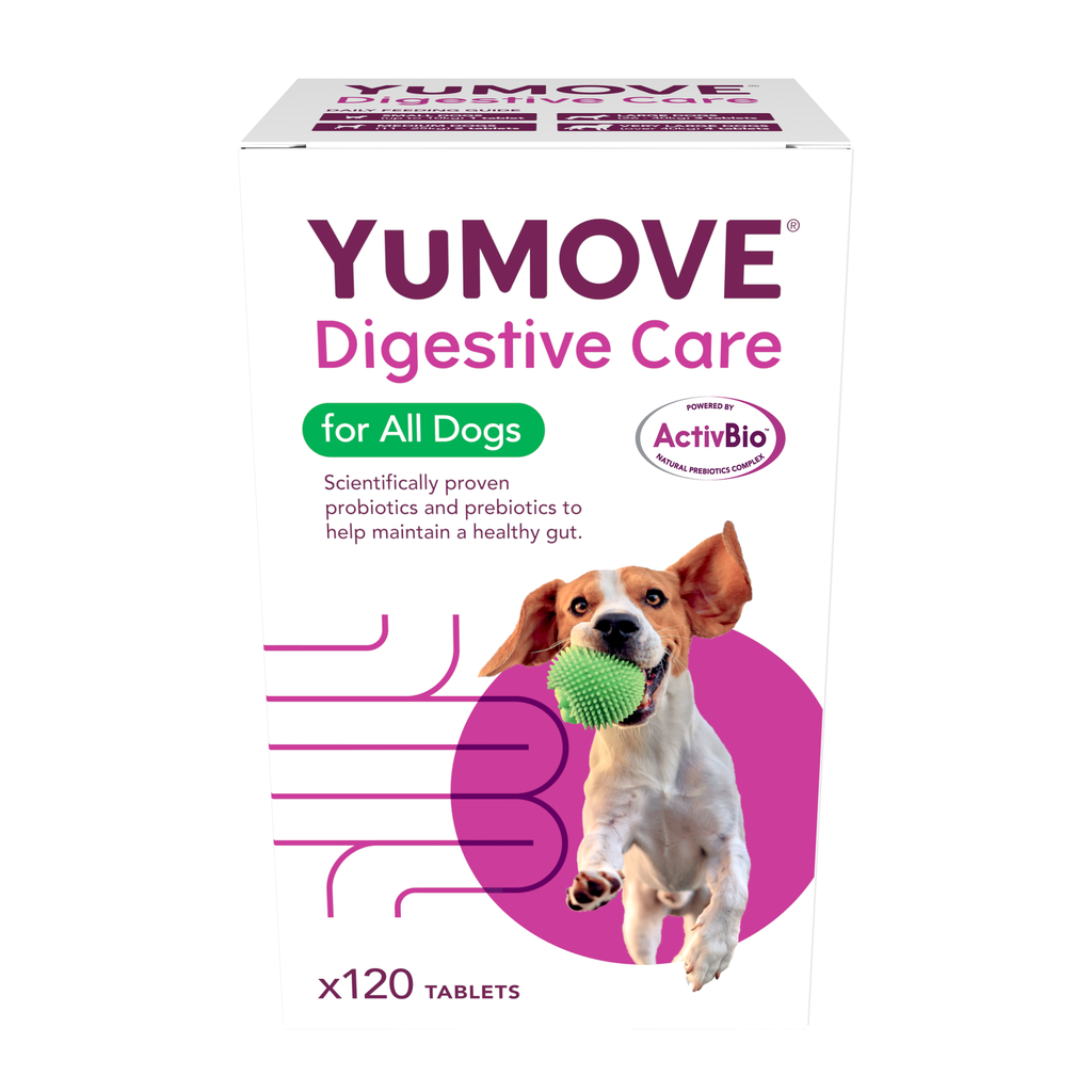 Lintbells YuMOVE Yudigest Dog 120 Tablets