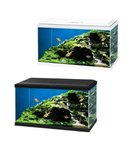 [400713-1] Ciano Aqua 60 Aquarium with Black LED Light 60x30x33.5cm