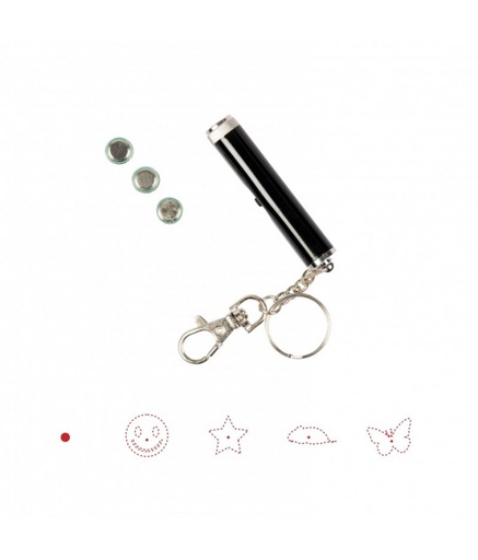 [LR10018] Duvo+ Laser Pointer Catch The Light 5 In 1 13x2.5x1.5cm