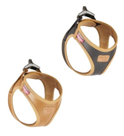 [206288-3] Curli Apple Leather Harness for Dogs - BLACK/XS