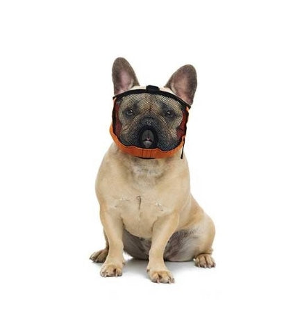 [205518-1] Chadog Diffusion Brachycephalic Muzzle for Dogs - ORANGE/32-44CM