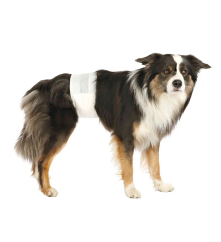 [207070-4] Trixie Diapers for Male Dogs 12pcs - S-M