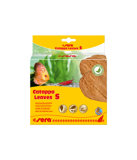 [SR32273] Sera Catappa Leaves 10-15cm Small 10pcs