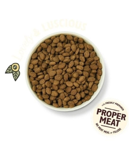 [101154-1] Lily's Kitchen Shepherd's Pie Lamb Grain Free Adult Dry Dog Food - 2.5KG