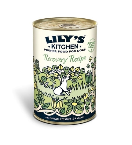 [101173-1] Lily's Kitchen Recovery Recipe Wet Dog Food - 400G