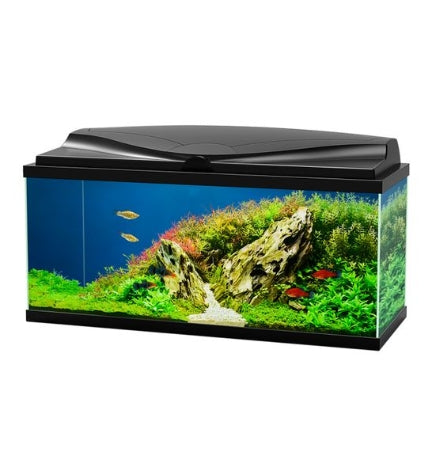 [400714-1] Ciano Aqua 80 Aquarium with LED Light 80x30x41.5cm