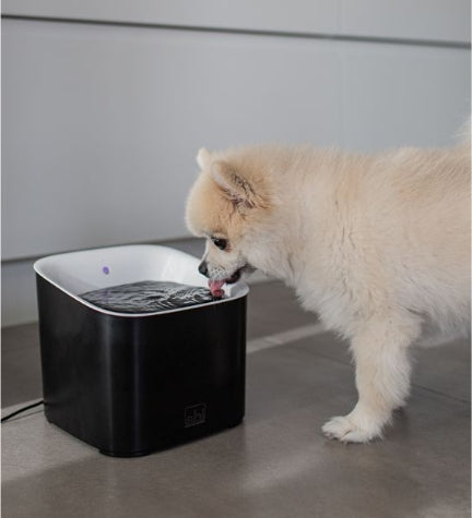 [205953-2] ebi Manoa Drinking Fountain for Dogs - WHITE/20X20X18CM