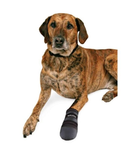 [201168-6] Trixie Walker Care Protective Boots for Dogs - LARGE