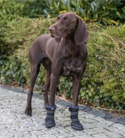 [205879-5] Trixie 2pcs Active Long Paw Protection Walker for Dogs - BLACK/M-L