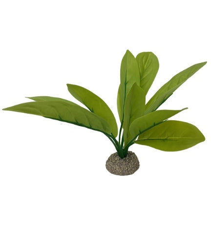 [406887-1] Aqua D'Ella Echinodorus 3 - GREEN/24CM