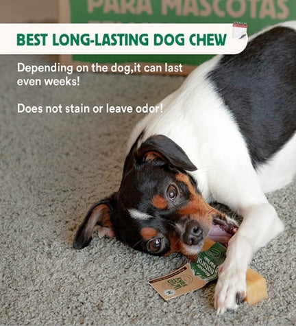 [103064-4] Wild Balance Wild Yaky Original Himalayan Dog Chew - XL